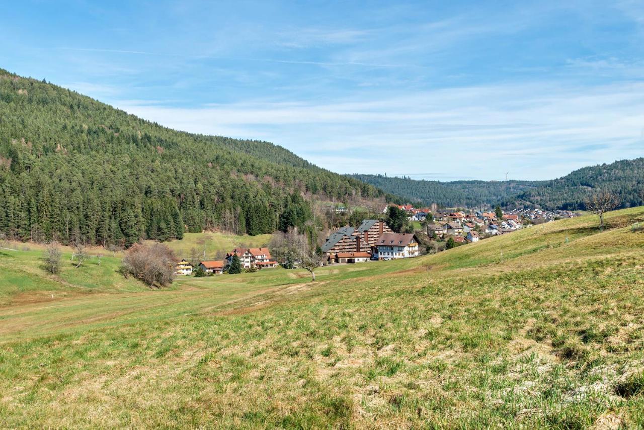 Apartmán Schwarzwald Woelkchen Baiersbronn Exteriér fotografie