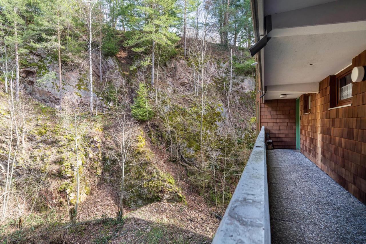 Apartmán Schwarzwald Woelkchen Baiersbronn Exteriér fotografie